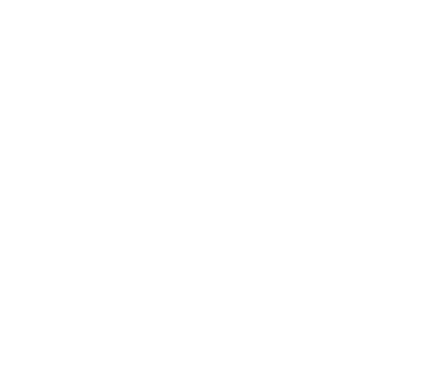 Feature Item Picture